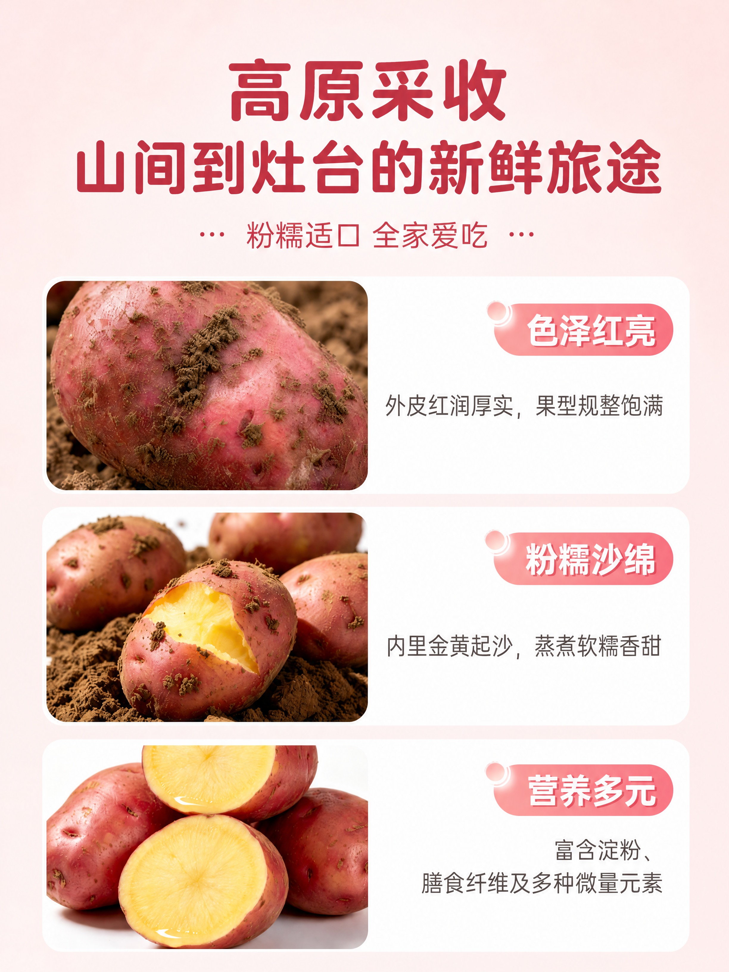 [商品] 使用【图1】红皮土豆详情页素材；保留三张产品图（带泥… - 图片创意预览