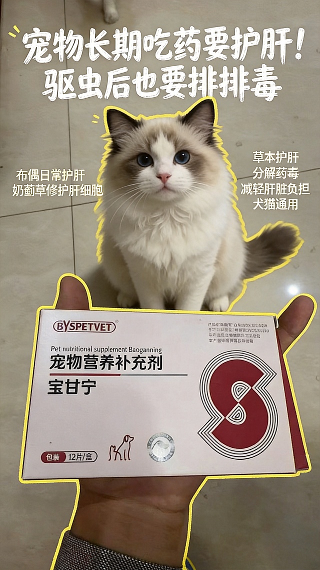 「图片1」 属于产品图片，参考         「图片1」                         这种图片，1 宠物长期吃药、频繁用药、驱虫药/抗生素堆积毒素，肝脏代谢压力大，肝细胞受损 添加奶蓟草、大小蓟护肝草本成分，辅助分解药物毒素，修复受损肝细胞，减轻肝脏代谢负担 猫咪/狗狗生病长期服药、定期体内外驱虫后，日常喂服做肝脏排毒修护，降低药物对肝肾的副作用，制作10张适合小红书的封面图片，还要和不同猫狗独影作为合影。尺寸：9:16