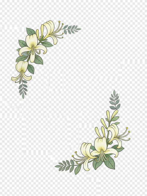 单独抠出图片包装上左上方的两朵金银花，保留花朵和枝叶的原设计样式，去除背景和其他元素预览效果