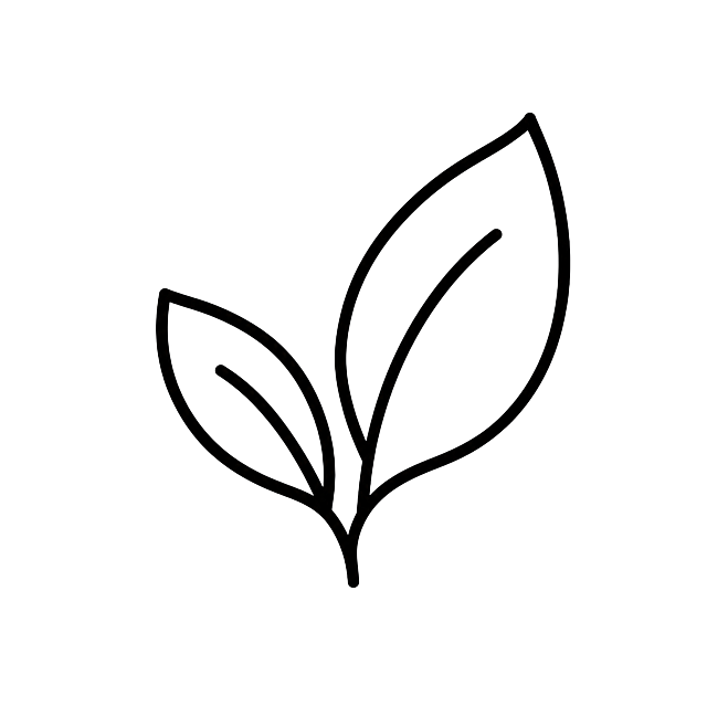 茶叶图标，线性风格，简约设计，线条流畅，单色，适合用于UI界面，清晰的茶叶轮廓，简洁的几何形状构成