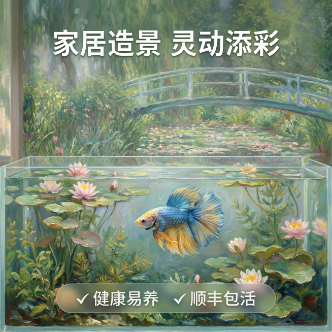 [主图 3] 
[主图主题] 艺术场景沉浸式体验展示
[氛围/风格] 莫奈花园沉浸式油画场景，融合莫奈印象派光影氛围感，文艺高级
[画面元素] 泰国半月斗鱼在开满睡莲的油画风鱼缸中游动，鱼缸背景是莫奈预览效果