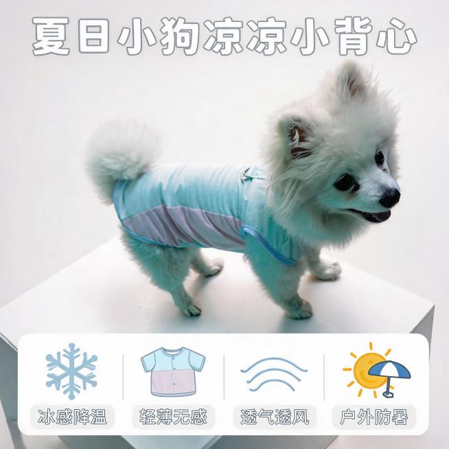 保留图中的白色博美犬和它穿的浅蓝拼浅紫凉凉小背心，将背景替换为干净的模特展示台，添加艺术文字“夏日小狗凉凉小背心”，然后为“冰感降温 轻薄无感 透气透风  户外防暑”四句短词语前面分别添加小图标，商品预览效果