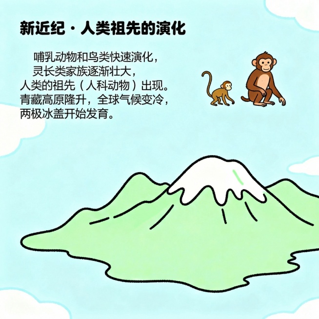 预览效果