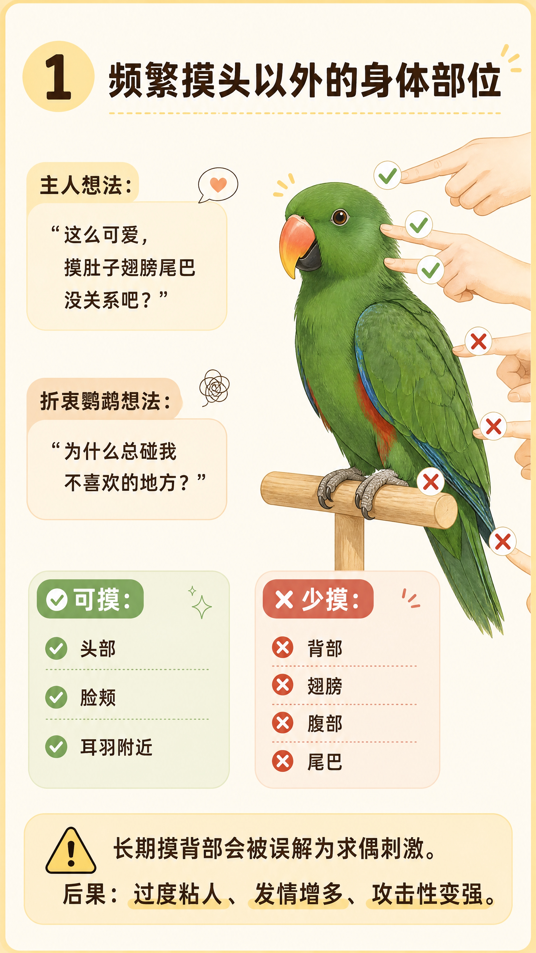 小红书宠物科普海报，插图大字，ins清新治愈风，版式精美，小红… - 图片创意预览