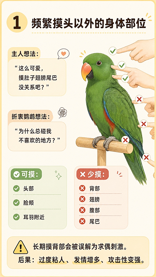 小红书宠物科普海报，插图大字，ins清新治愈风，版式精美，小红书笔记封面质感。版式骨架、分区比例、色调体系与参考图保持一致（相似度约70%），文案与内容换为本次主题。9:16竖版，暖米浅黄底色，圆角卡片布局，大量留白，扁平写实插画风格，马卡龙暖色调，柔和光影，无水印。画面顶部标题区：标题文字「1 频繁摸头以外的身体部位」，深棕色扁平粗黑体。左上区域：「主人想法：」标签 + 「“这么可爱，摸肚子翅膀尾巴没关系吧？」文字气泡。左中区域：「折衷鹦鹉想法：」标签 + 「“为什么总碰我不喜欢的地方？」文字气泡。画面中部偏右：一只站在站杆上的折衷鹦鹉（参考【图5】【图6】【图7】绿色羽毛、橙红喙部特征，转为扁平写实插画），多只手指指向鹦鹉身体各处，禁碰部位（背部、翅膀、腹部、尾巴）标红色叉号，可触碰部位（头部、脸颊、耳羽附近）标绿色勾号。画面下方左右两个圆角卡片模块：左侧绿色卡片标题「✅可摸：」，列出「头部、脸颊、耳羽附近」；右侧红色卡片标题「❌少摸：」，列出「背部、翅膀、腹部、尾巴」。画面最底部黄色警示圆角卡片：「⚠️长期摸背部会被误解为求偶刺激。后果：过度粘人、发情增多、攻击性变强」。简约图标装饰，充足留白，柔和自然光。画面所有文字清晰可读，深棕色字体，信息层级分明，文字完整处于安全区内不可裁切。图生图：【图1】【图2】【图3】【图4】= 版式风格参考，【图5】【图6】【图7】= 折衷鹦鹉外形参考，保持鹦鹉绿色羽毛橙红喙部特征。