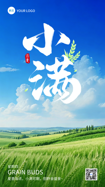 小满节气节气祝福线上渠道全屏竖版海报预览效果