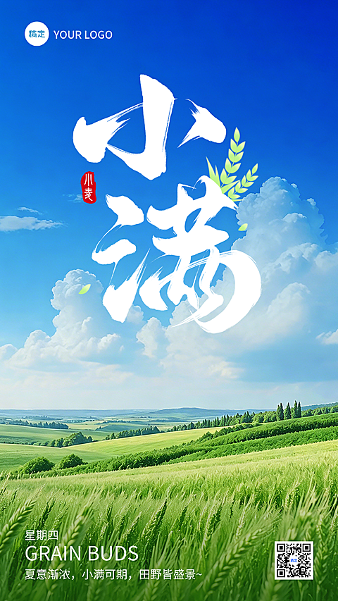 小满节气节气祝福线上渠道全屏竖版海报