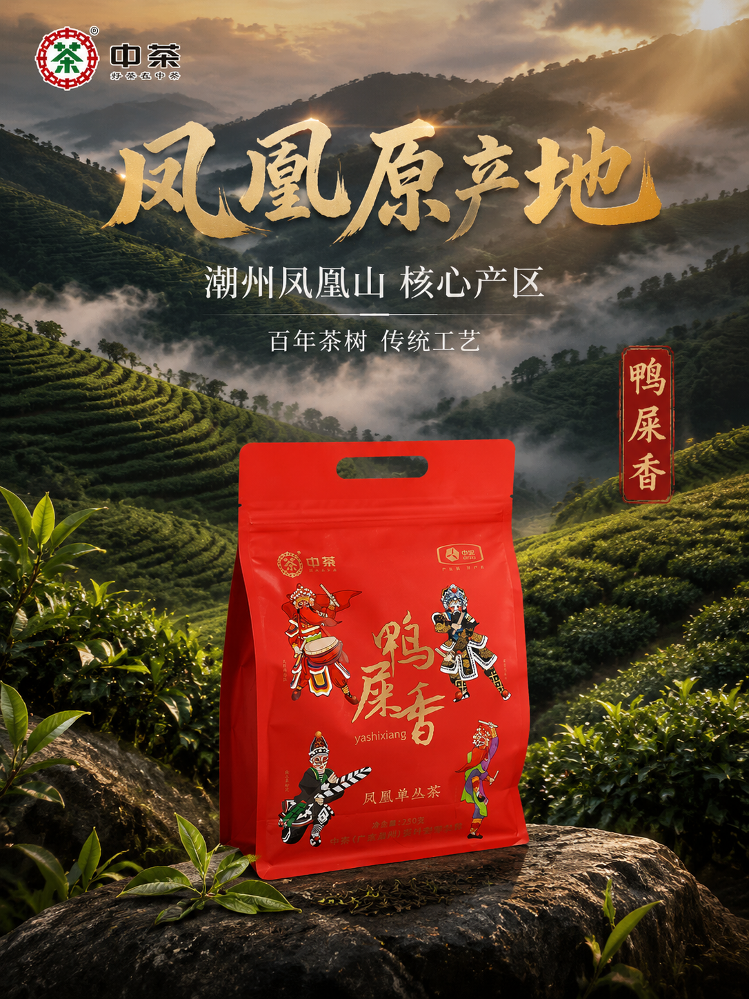 [主图-2] 核心亮点溯源 中茶鸭屎香凤凰单丛茶 潮州凤凰山产… - 图片创意预览