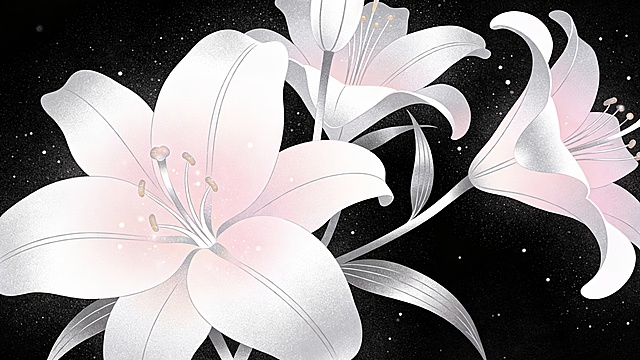 梦幻感与唯美感交织的插画风作品，以鎏银色调勾勒出优雅绽放的夜空白花，粒子光点点缀其间，营造静谧浪漫的虚拟自然意境。
