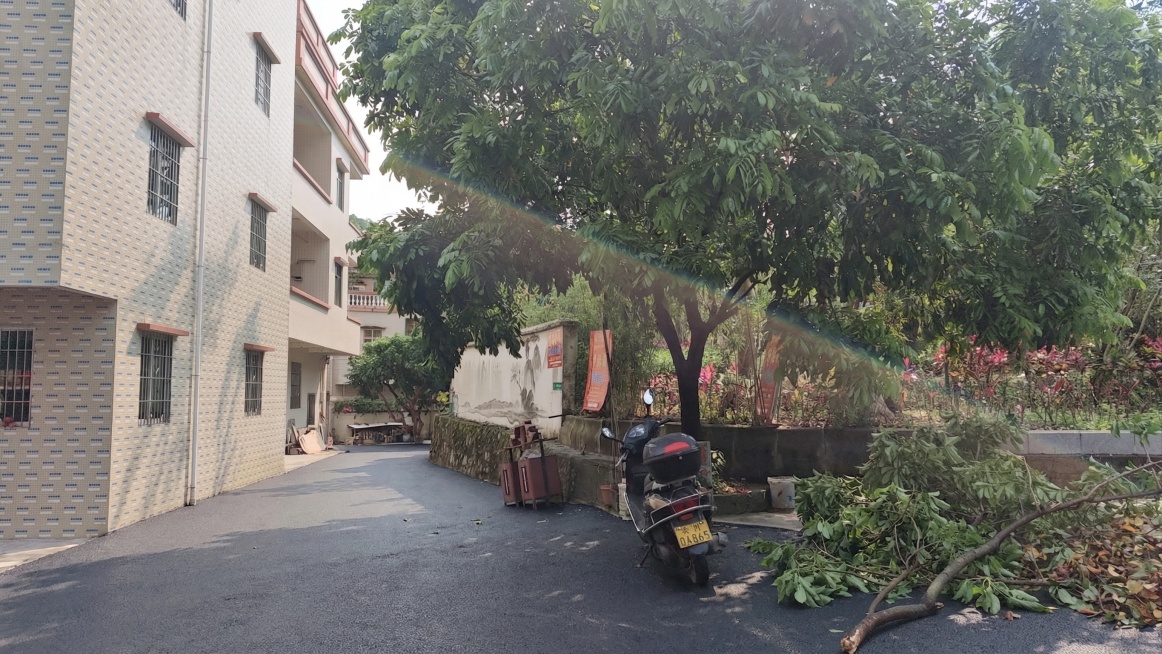 将图中的原地面修改为加铺沥青后的路面，保持画面其他元素和位置不变，整体自然真实预览效果