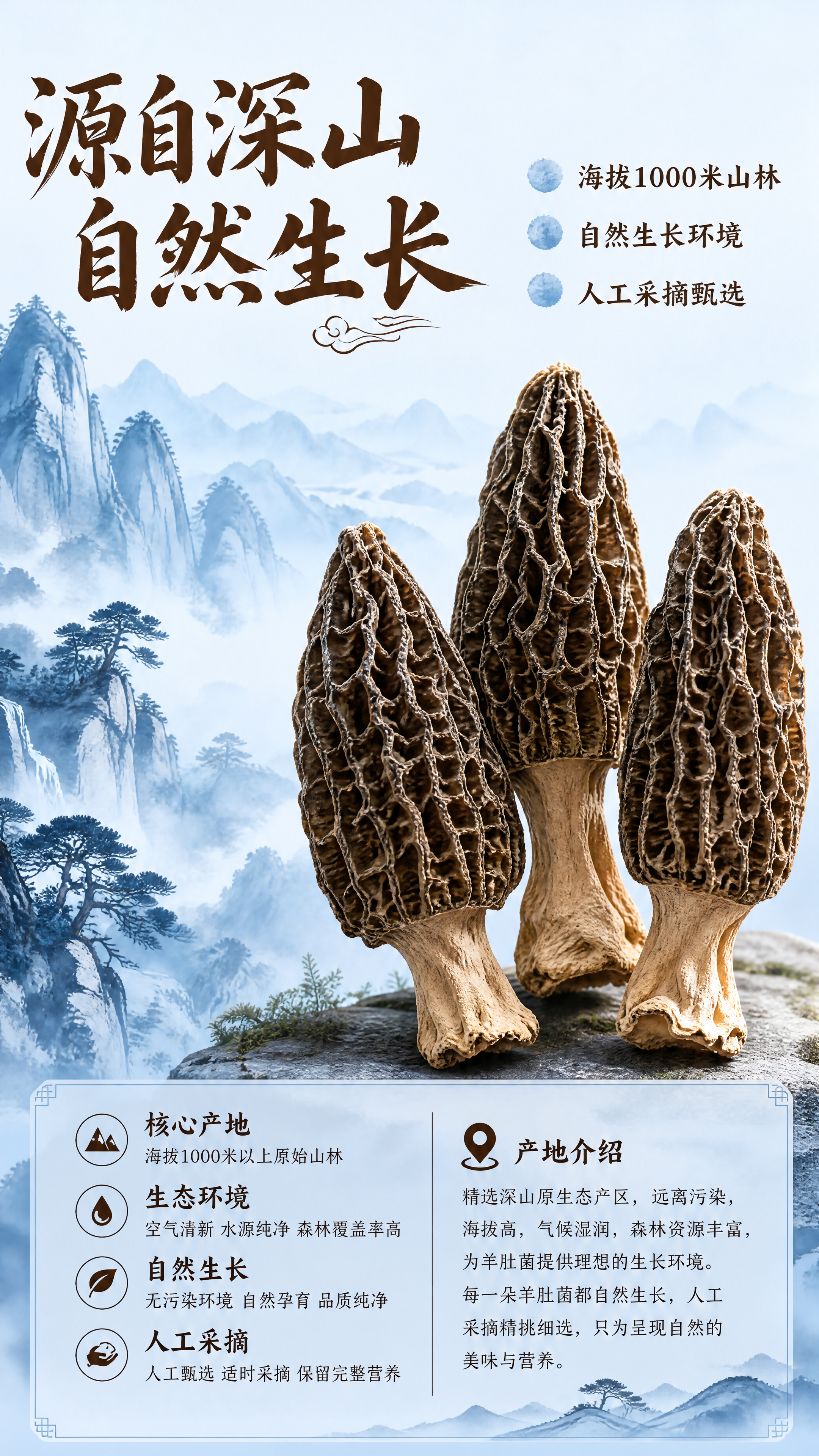 [第2屏] 羊肚菌干核心产地展示屏。本屏使用【图1】作为产品参… - 图片创意预览