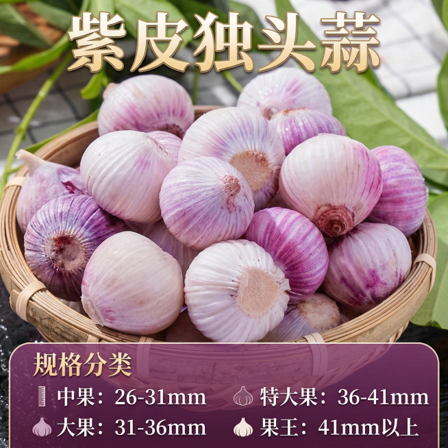 保留紫皮独头蒜主体，添加文字“中果26-31mm,大果31-36mm,特大果36mm-41mm,果王41mm以上”，优化主图视觉效果，突出规格信息预览效果