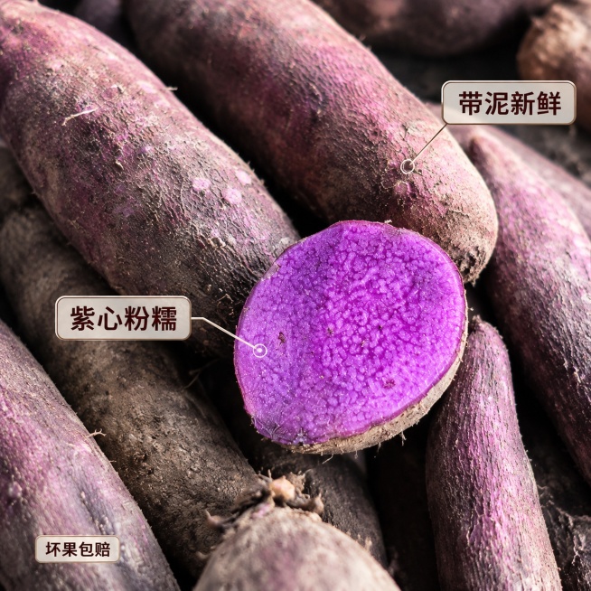 [主图2] 紫山药切面卖点标注展示
[氛围风格] 细节品质突出
[画质] 商业摄影质感，光线柔和通透，产品清晰真实，画面干净高级
[元素] 整堆紫山药上放置一块切下的紫山药圆片，完整展示紫紫色内心，保预览效果