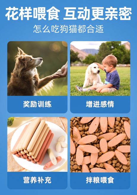 将整体外层黄色背景和四个功能卡片下方的橙色背景都换成蓝色，所有文字（包括大标题、小标题）都换成白色，保持原图片布局和内容不变预览效果