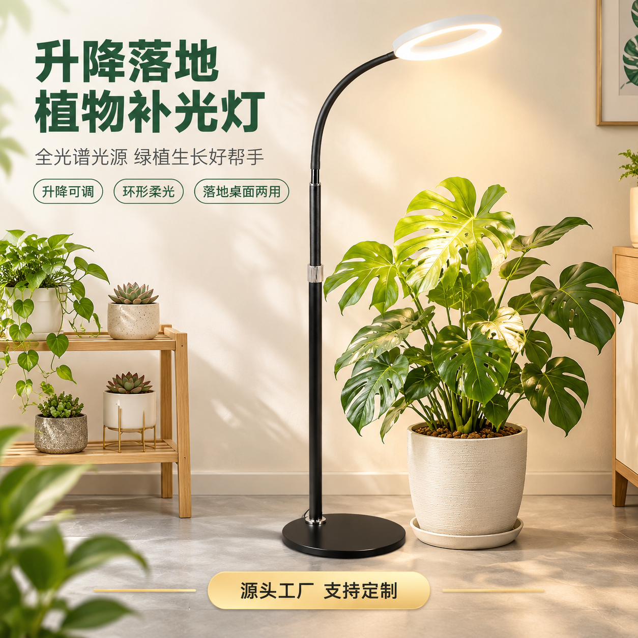 [主图-1] 升降桌面落地植物补光灯 空间氛围与灯体呈现 吸睛… - 图片创意预览