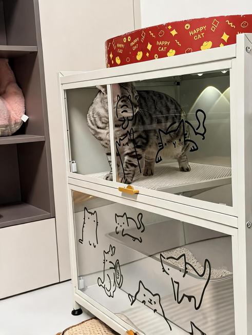 生成一套自然真实的猫咪柜买家秀图片，参考这张图片的场景和风格，保留带有猫咪玻璃贴纸的白色双层猫柜和顶部红色HAPPY CAT猫抓板，去掉图片右下角的水印，画面自然真实，适合作为买家秀展示预览效果