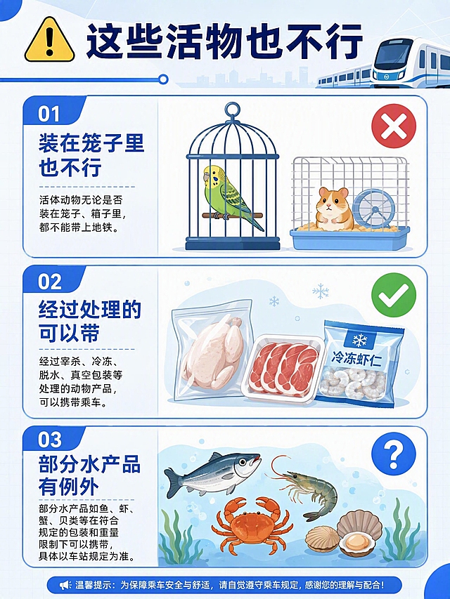 公众号科普长图注意事项页，标题"⚠️ 这些活物也不行"，三张卡片纵向排列：1.装在笼子里也不行红叉 2.经过处理的可以带绿勾 3.部分水产品有例外蓝问号，扁平化清新插画风格，地铁蓝主色调，圆角卡片，竖版，2K高清