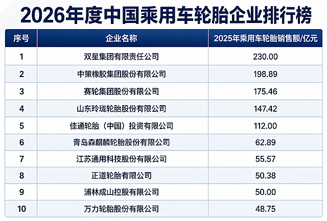 将这张表格图片调整得更紧凑清晰，保持原有数据和文字内容不变。要求：行间距缩小，表格整体更紧凑，字体清晰锐利，表格线条细而清晰，去掉多余留白，数据对齐工整，蓝灰色商务风格，专业简洁，适合报告使用