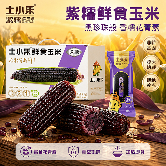 参考【图3】的黑糯玉米微距食欲感（深紫黑色颗粒、油亮光泽、截面展示）和【图2】的暖光玉米田背景氛围，为【图1】的土小乐紫糯鲜食玉米制作一张淘宝主图。

具体要求：
- 产品：土小乐紫糯鲜食玉米礼盒装（大包装箱+小真空袋组合），保留品牌Logo、紫糯标识、10/3/1徽章、非转基因、源头锁鲜非速冻、净含量2.2kg、粒粒皆新鲜等所有包装细节，与原图绝对一致；大包装箱放在画面后景偏左，占比约40%，小真空袋立在右侧前方
- 前景：2-3根黑紫糯玉米堆叠摆放，其中一根斜靠展示完整颗粒，一根切开展示深紫色截面，颗粒饱满油亮有光泽，黑紫色中透紫红，参考图3的质感；周围散落几粒紫玉米粒和紫色玉米叶点缀
- 背景：暖金色玉米田虚化背景+木质台面，阳光逆光照射，有光斑和光晕，温暖自然，参考图2的氛围；紫色玉米与暖黄背景形成对比
- 左上角：土小乐品牌标识
- 顶部右侧主标题：「紫糯鲜食玉米」，粗黑体，深紫色，字号大醒目
- 主标题下方副标题：「黑珍珠般 香糯花青素」，稍小字号，同色系
- 右侧竖排三个圆形金色徽章：「非转基因」「源头锁鲜」「拒绝冷冻」
- 底部半透明悬浮条：横向排列三个卖点图标+文字「富含花青素」「真空锁鲜」「加热即食」
- 整体紫金配色+暖黄背景，高端品质感+食欲感，商业摄影质感
- 保持包装箱和真空袋外观、品牌Logo、文字信息与输入产品图绝对一致，杜绝变形和色差