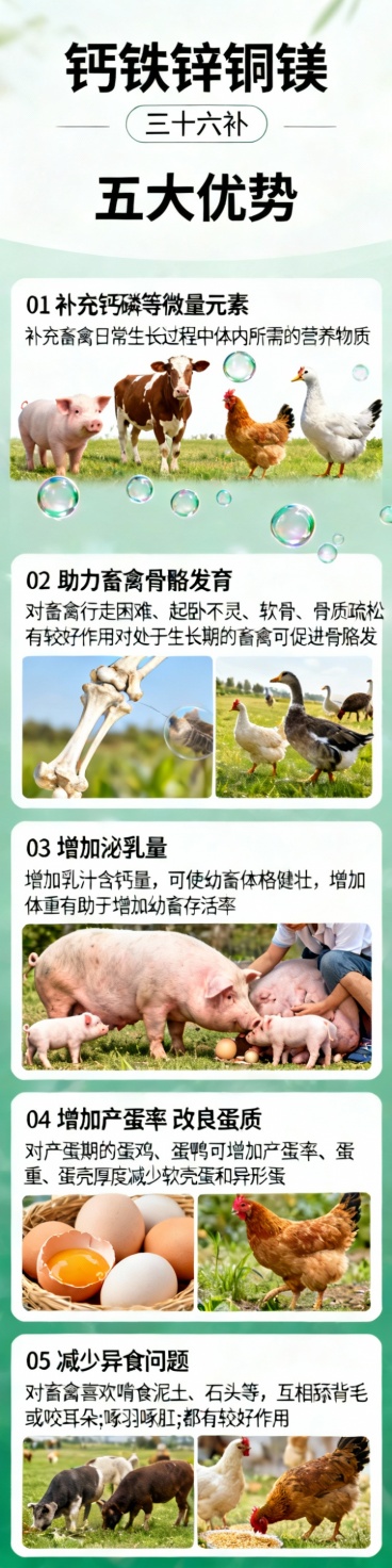 钙铁锌铜镁（居中）
三十六补（普通字）
五大优势（大字居中，显著）
01
补充钙磷等
微量元素
（小小字写）补充畜禽日常生长过程中体内所需的营养物质
下面配一张小猪，小牛羊，鸡鸭鹅的图片，然后元素有预览效果