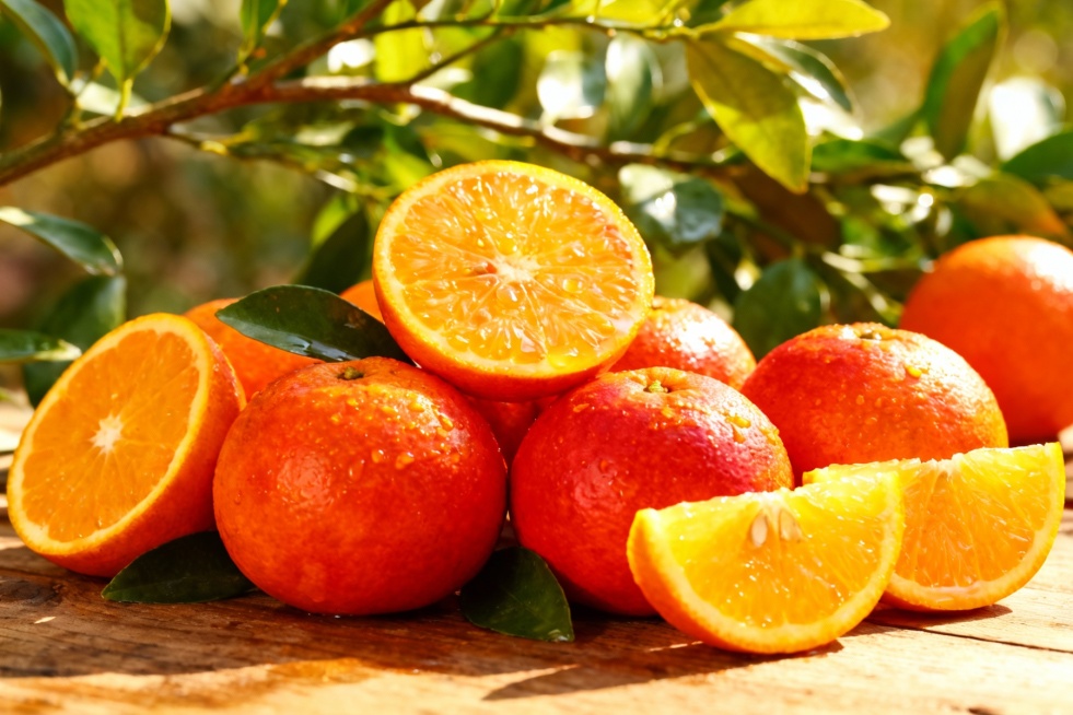 廉江红橙预览效果