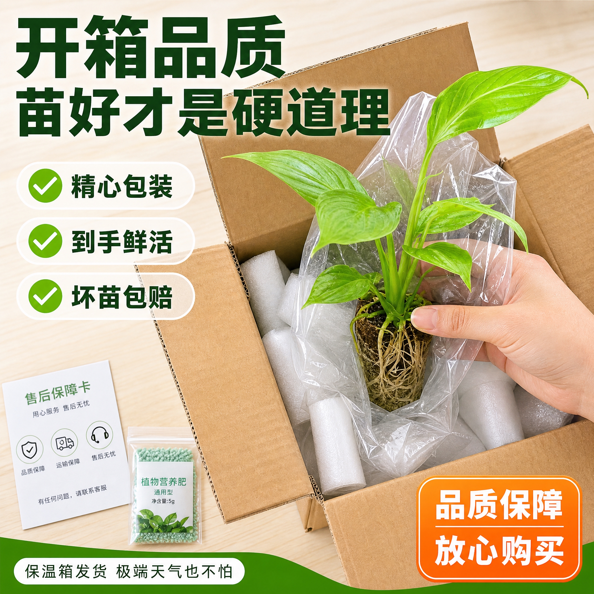 [主图-10] 开箱品质 白掌幼苗包装发货品质保证。 [统一基… - 图片创意预览