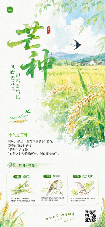 芒种节气知识科普清新水彩风手机通用全屏竖版海报预览效果