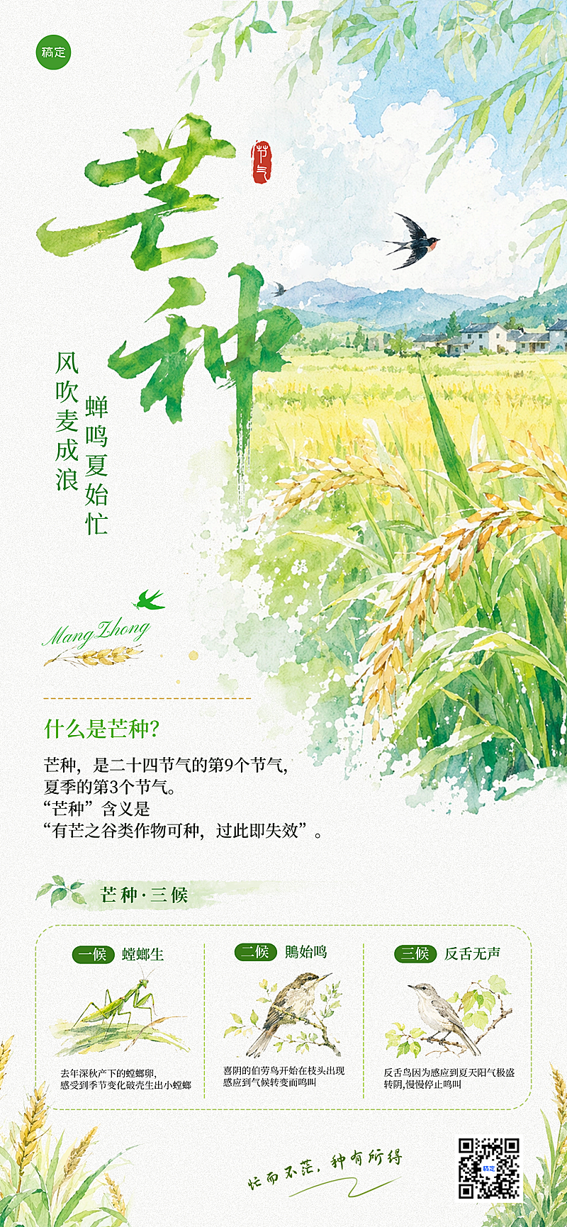芒种节气知识科普清新水彩风手机通用全屏竖版海报