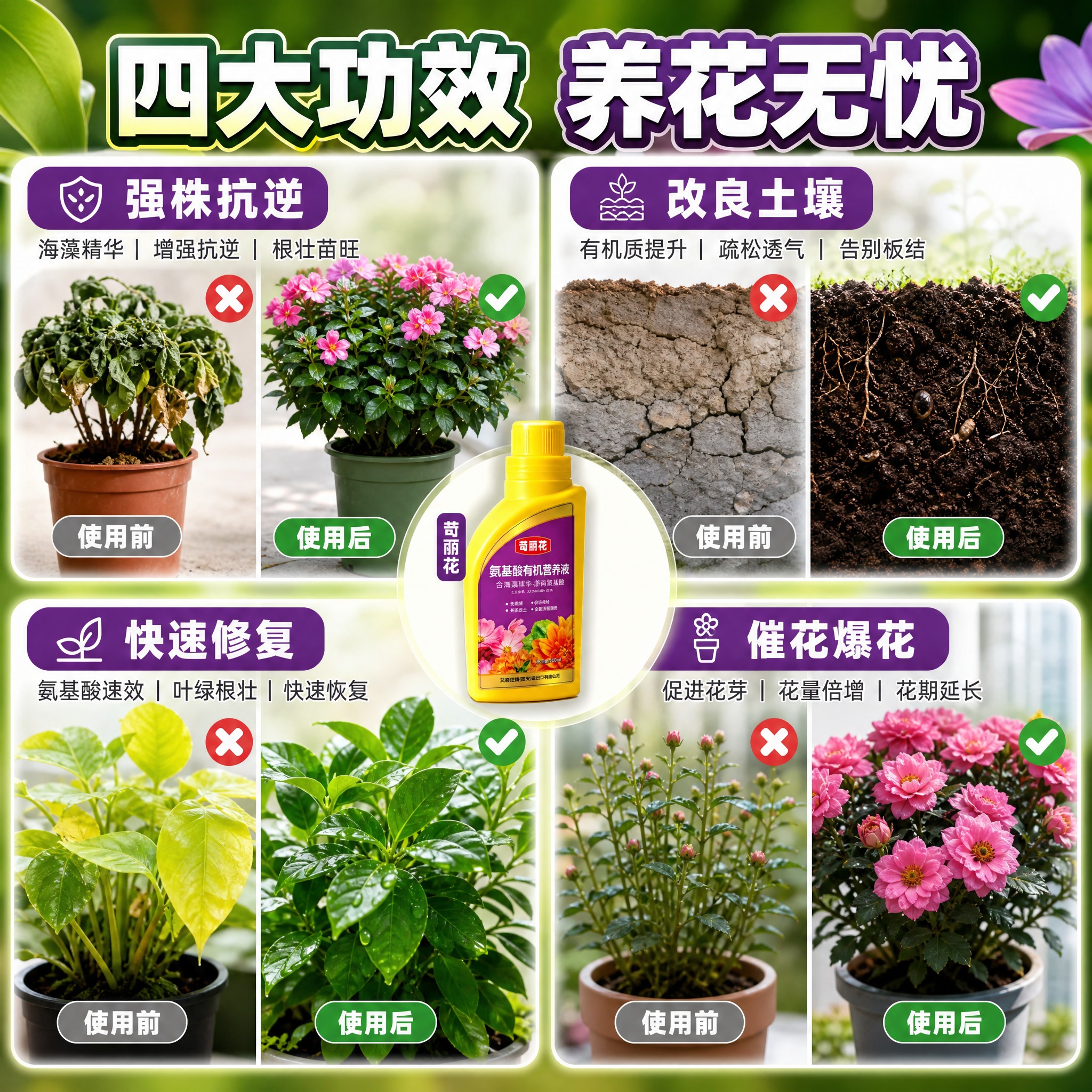 [主图-3] 四大产品功效展示，用效果对比和场景证据证明海藻强… - 图片创意预览