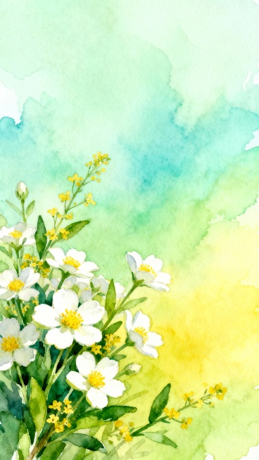 清新淡雅的水彩风格花卉插画，画面以柔和的浅绿色和淡黄色为渐变背景，营造出明亮通透的春日氛围。左下角以自然生长的姿态簇拥着大量白色五瓣小花，花瓣边缘略带细腻笔触，花蕊呈黄色点缀其间，穿插着鲜嫩的绿色叶片和细小的黄色碎花。整体构图采用不对称平衡，花卉主体集中于画面下部，向上逐渐稀疏，背景色彩由下至上从浓郁的黄绿色渐变为轻盈的蓝绿色，笔触柔和晕染，富有层次感和空气感，呈现出宁静自然、生机盎然的视觉效果。预览效果