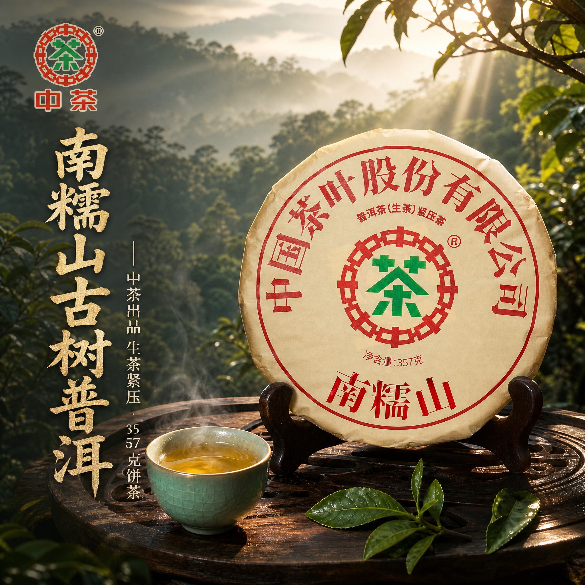 [主图-1] 首图点击率，沉浸式南糯山古茶园场景，突出中茶普洱… - 图片创意预览