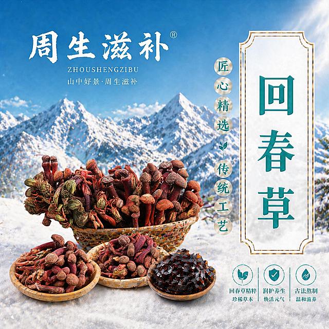 保留品牌周生滋补、雪山背景、整体排版布局、产品名回春草和匠心精选传统工艺设计结构，参考图一的真实回春草原药材形态替换所有现有原料为图一所示的新鲜回春草素材，保留成品膏块展示，保持写实自然的产品展示风格，分辨率2K，保持原图比例