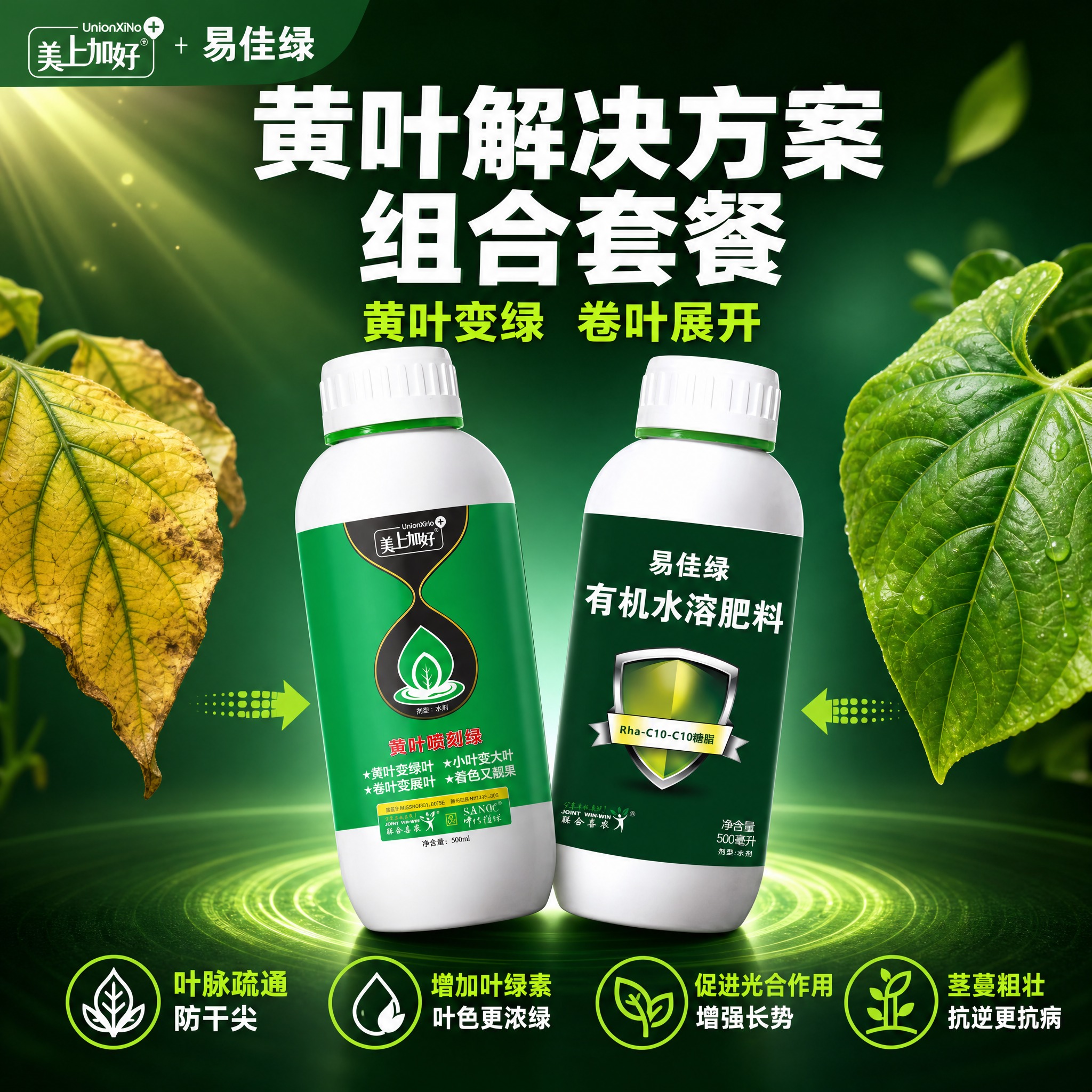 [主图-1] 黄叶解决方案组合套餐首图，直击黄叶痛点，突出两瓶… - 图片创意预览