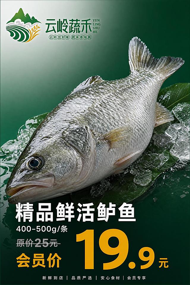 生鲜超市竖版印刷海报，80cm×120cm竖版，比例2:3，超写实商业摄影风格，极致真实强食欲。左上角严格放置上传的「云岭蔬禾」横式全套LOGO，100%还原LOGO的山峰稻穗图形造型、绿色渐变、「云岭蔬禾」字体笔画、YUN LING SHU HE英文字体、「云岭出好味 蔬禾本味真」圆形标语的完整结构和颜色，LOGO矢量级清晰锐利，禁止变形模糊，四周留安全边距不被遮挡。品牌主色#007534云岭深绿，强调色#E2AB18谷穗金黄，辅助色#6FB52E田野浅绿。画面中央是完整鲜活鲈鱼大特写，鱼鳞银亮有金属光泽，鱼身饱满厚实，鱼眼清澈黑亮，鱼鳍鱼尾完整舒展，鱼身带水珠水润感，真实摄影级质感，产品图占整张海报60-65%面积，绝对视觉主体。背景为低饱和深绿色渐变，高级干净有质感。画面下方或右侧排版：主标题「精品鲜活鲈鱼」大字醒目，规格「400-500g/条」，原价「25元」灰色划线清晰，会员价「19.9元」谷穗金色超大粗体，第二视觉重心，强烈价格差。文字层级：LOGO→主标题→产品大图→规格→原价划线→放大会员价→底部小字。四周印刷安全留白，无花哨贴纸，排版精美，超高清商业海报，2-3米外一眼识别会员价。画面必须完整呈现：「云岭蔬禾」「云岭出好味 蔬禾本味真」「精品鲜活鲈鱼」「400-500g/条」「原价25元」「会员价19.9元」；所有数字精确渲染。
