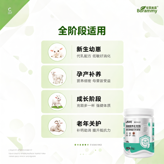 第8张.6张.5张.2张，加上产品图预览效果