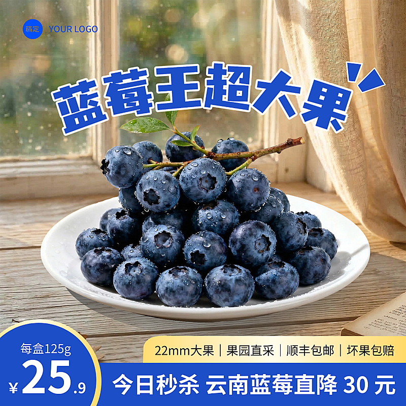 蓝莓电商主图
