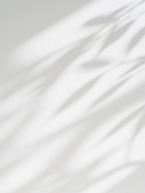 一张具有柔和光影效果的白色背景图，画面中呈现出自然的树叶阴影纹理，阴影线条清晰且富有层次感，光影过渡自然柔和，整体氛围宁静舒适，适合作为阴影素材使用。预览效果