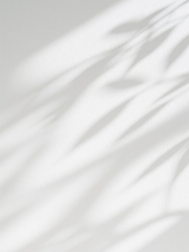 一张具有柔和光影效果的白色背景图，画面中呈现出自然的树叶阴影纹理，阴影线条清晰且富有层次感，光影过渡自然柔和，整体氛围宁静舒适，适合作为阴影素材使用。