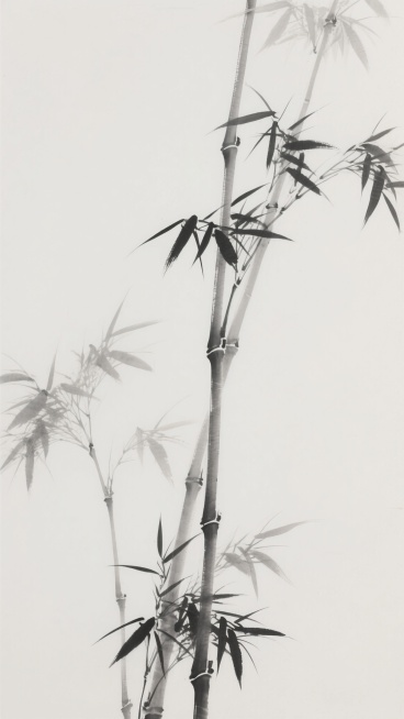 一幅中国水墨画风格的竹子图，以淡墨勾勒竹竿与竹叶的轮廓，笔触简练洒脱，竹竿挺拔向上，竹叶疏密有致，呈现出清雅高洁的意境，画面留白充足，营造出空灵悠远的东方美学氛围，整体色调为淡雅的墨色与白色，展现出传统水墨的韵味与风骨。预览效果