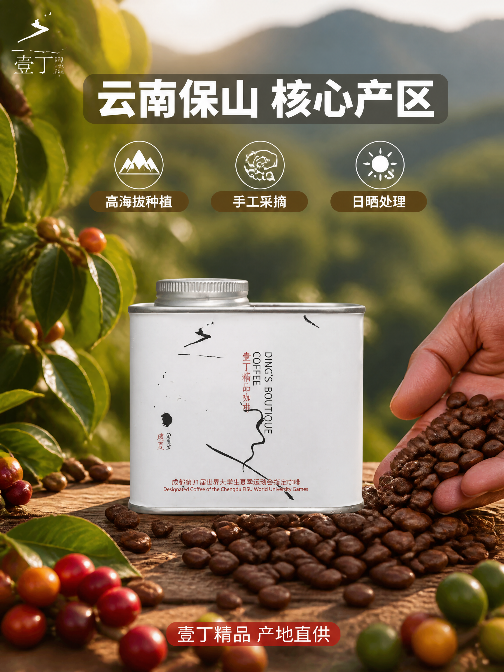[主图-2] 壹丁咖啡产地溯源与核心卖点图 信任背书。 [氛围… - 图片创意预览