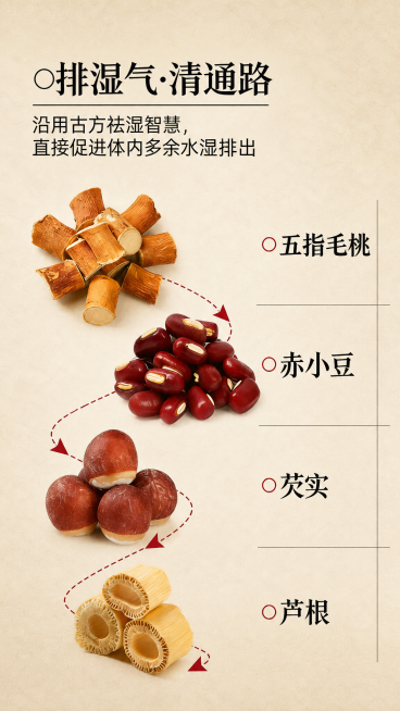 保持图片所有内容和文字不变，把背景颜色统一改为米杏色宣纸渐变底，极简哑光质感，竖版预览效果