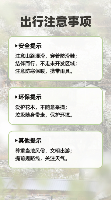 [主图 9] 出行注意事项
[氛围/风格] 严谨清晰风格，柔和自然背景
[画面元素] 背景使用低透明度原图梨花梯田，前景放置三个圆角信息卡片，分别承载安全、环保、其他提示，卡片白底浅绿边框，清晰干净预览效果