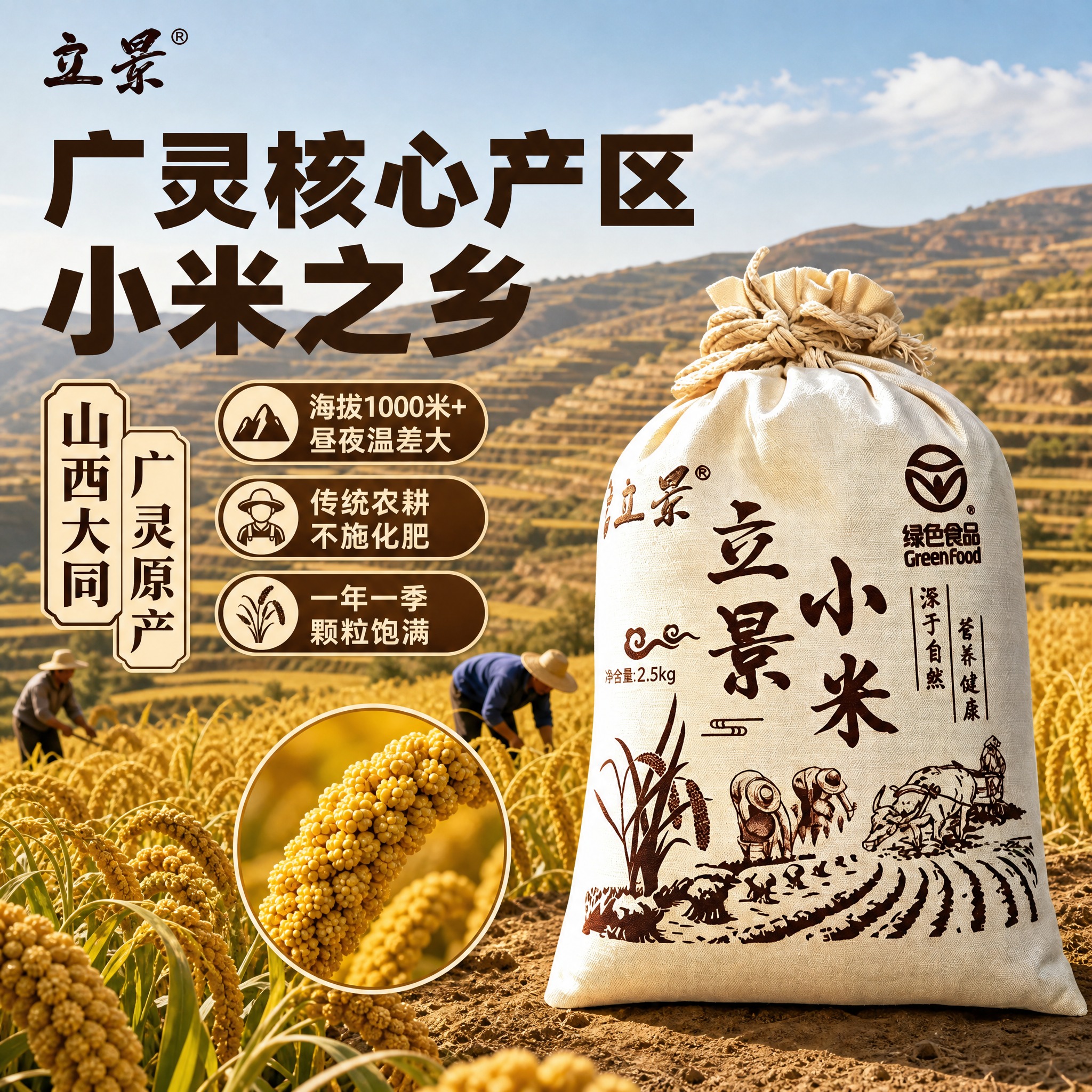 [主图-3] 布袋装小米产地溯源图，核心任务是证明山西广灵核心… - 图片创意预览