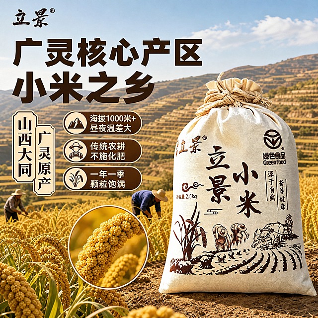 [主图-3] 布袋装小米产地溯源图，核心任务是证明山西广灵核心产区优势，建立品质信任。
[统一基调] 拼多多风格，大字直白，暖调产地风，土黄+深褐主色，粗黑体大标题。
[画面] 立景小米布袋装放在画面右侧，约占40%。左侧和背景是山西广灵小米种植基地的真实场景：层层梯田里金黄色的小米谷穗迎风摇曳，农民戴着草帽在田间劳作的身影，远处是黄土高原的山峦。画面中下部有一个圆形放大镜效果，放大展示小米谷穗的细节颗粒，金黄饱满。左上角放"立景"品牌Logo。
[光影质感] 户外自然阳光，温暖明亮，谷穗有通透的逆光效果，布袋光影与场景光源一致，自然融入田间环境，无悬浮感。
[配色] 背景金黄谷穗+蓝天黄土，主标题深褐色，强调字金黄色带描边，辅助文案白色带深色底。
[文字版式] 画面左上方大标题粗黑体"广灵核心产区 小米之乡"，字号最大。标题下方竖排两行大字："山西大同""广灵原产"。画面中部偏左有三个数据标签式卖点："海拔1000米+ 昼夜温差大""传统农耕 不施化肥""一年一季 颗粒饱满"。每个卖点配一个小图标。文字不遮挡产品。
[输出要求] 1:1正方形，2048x2048，产品清晰不变形，文字清晰可读，无错字，无水印，无平台Logo，无多余杂物。