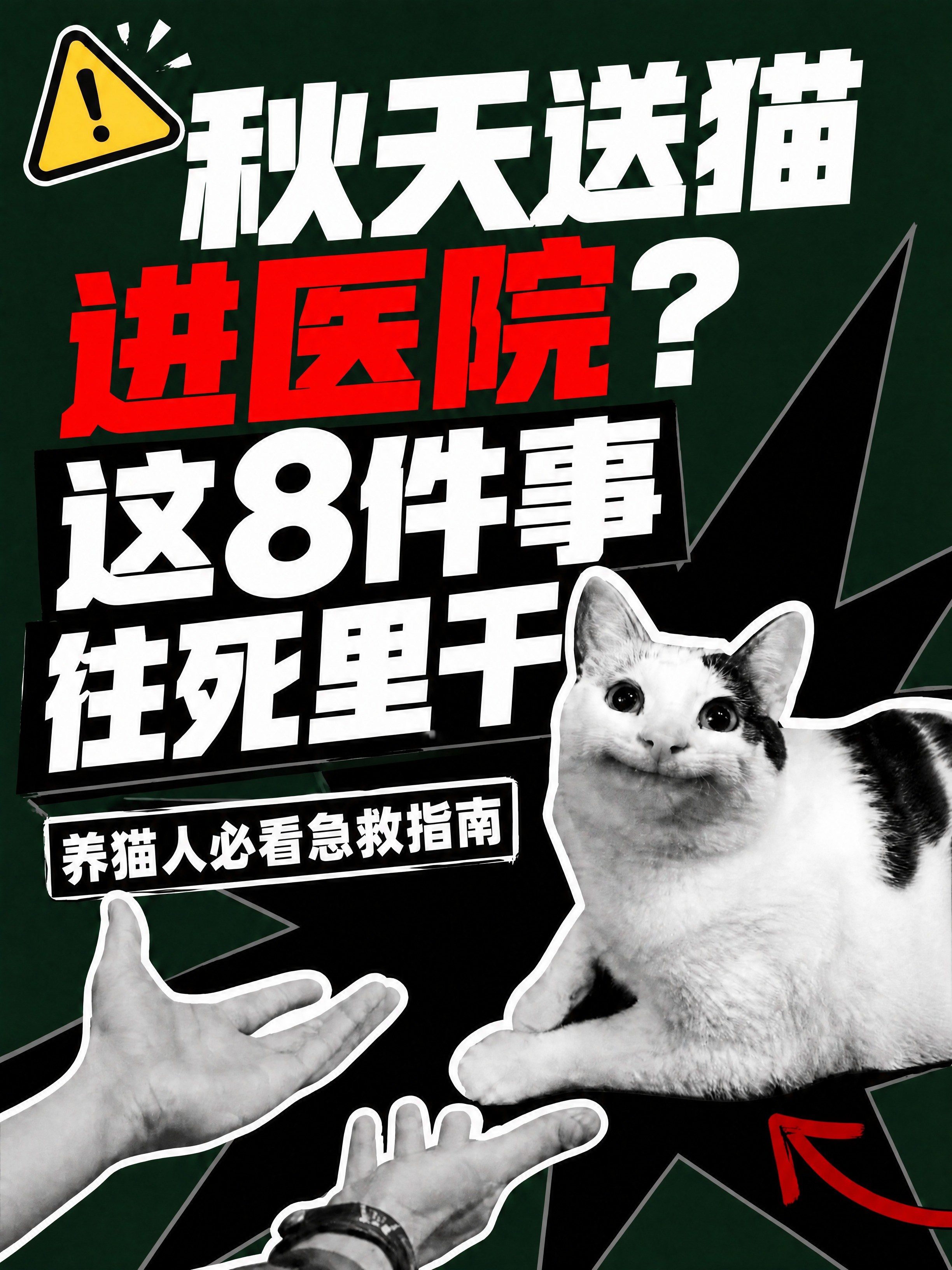 在保持原图整体版式、猫咪形象、背景风格、其他所有文字内容和位置… - 图片创意预览