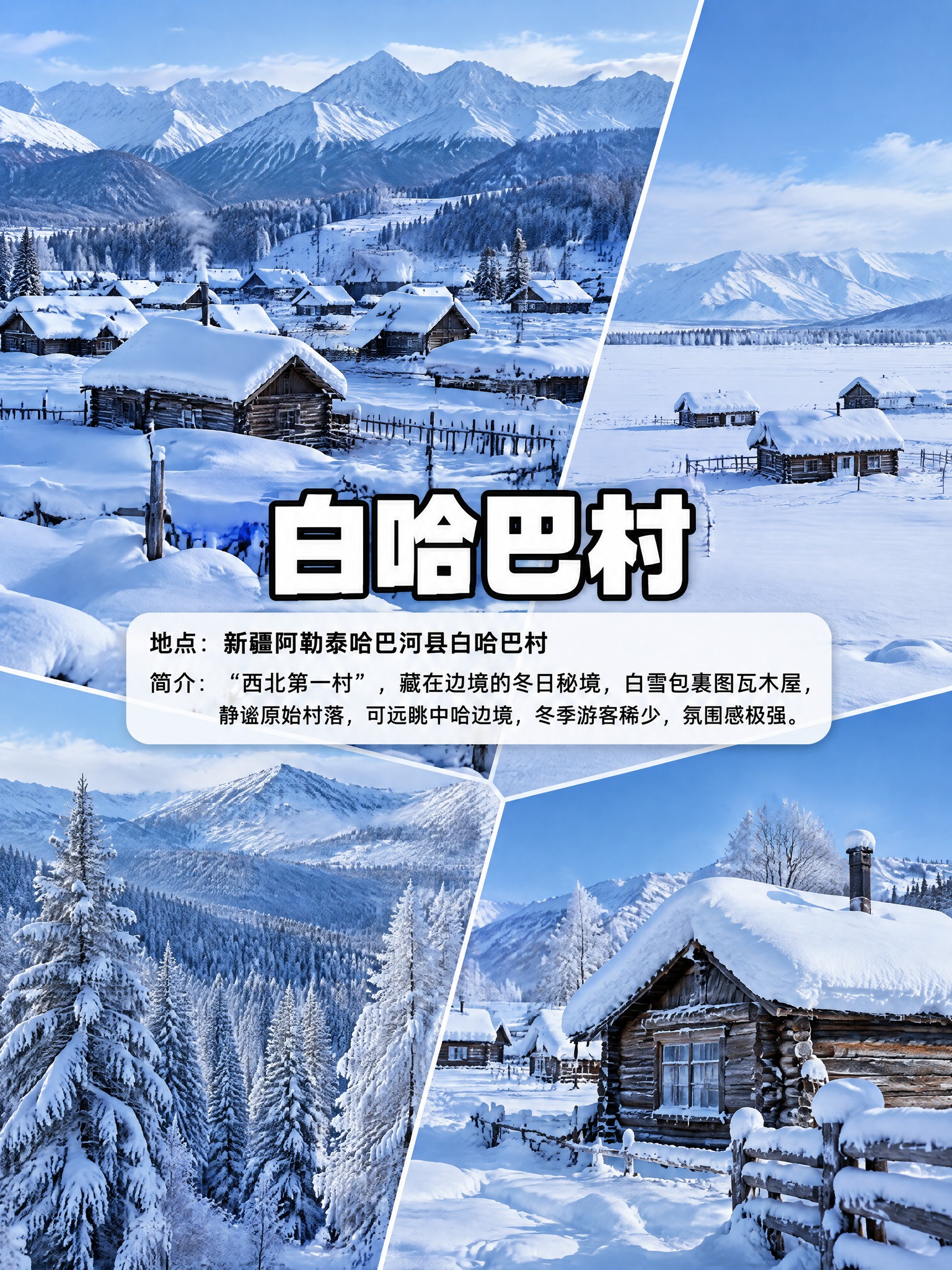 竖屏3:4比例，4张白哈巴冬季实拍照片拼接布局，排版布局完全和… - 图片创意预览