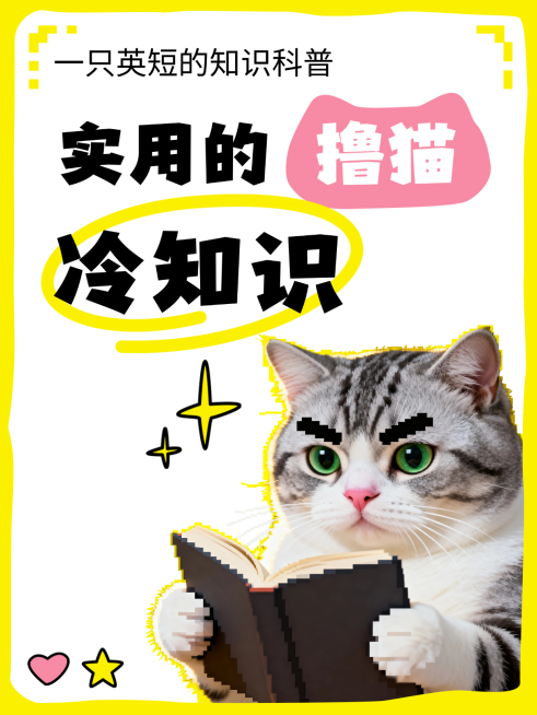 撸猫知识科普分享猫咪大字风小红书封面预览效果