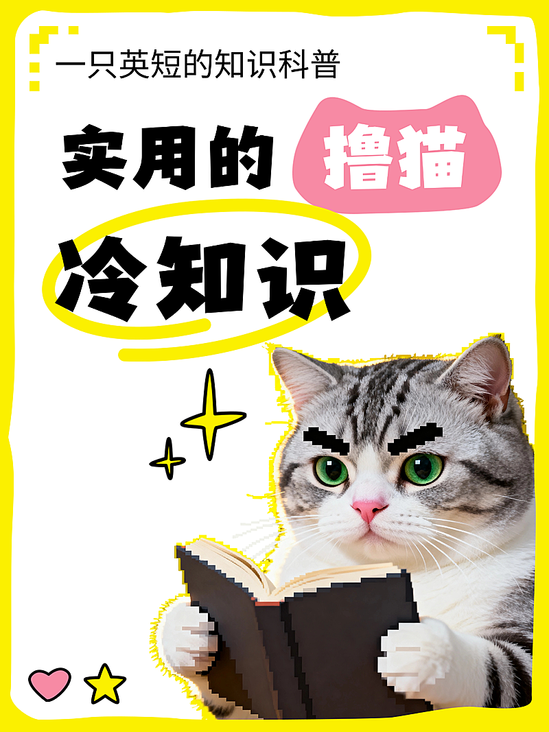撸猫知识科普分享猫咪大字风小红书封面