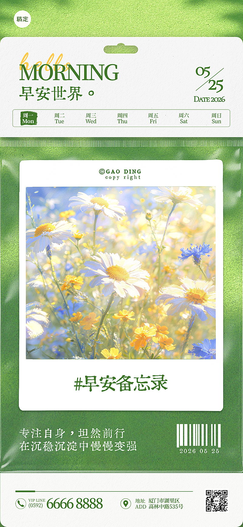 早安日签夏季问候祝福励志正能量小雏菊拟物风文艺风朋友圈海报