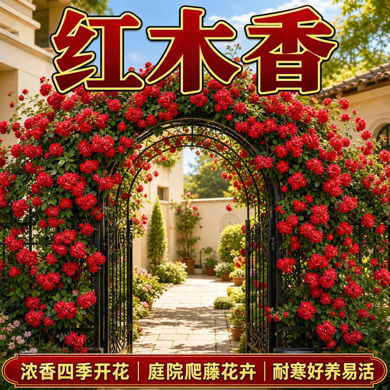淘宝天猫电商主图，1:1正方形，画面主体为红木香花卉（红色重瓣… - 图片创意预览